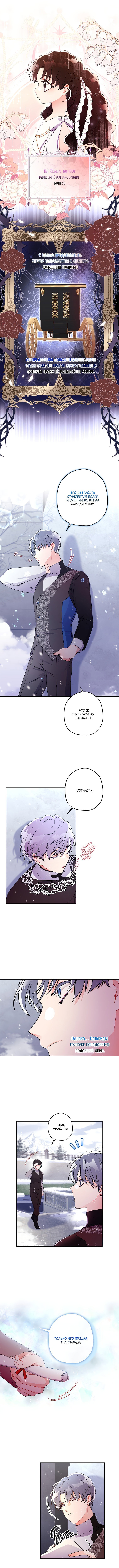 Read Приёмная дочь протагониста RU Manga Online