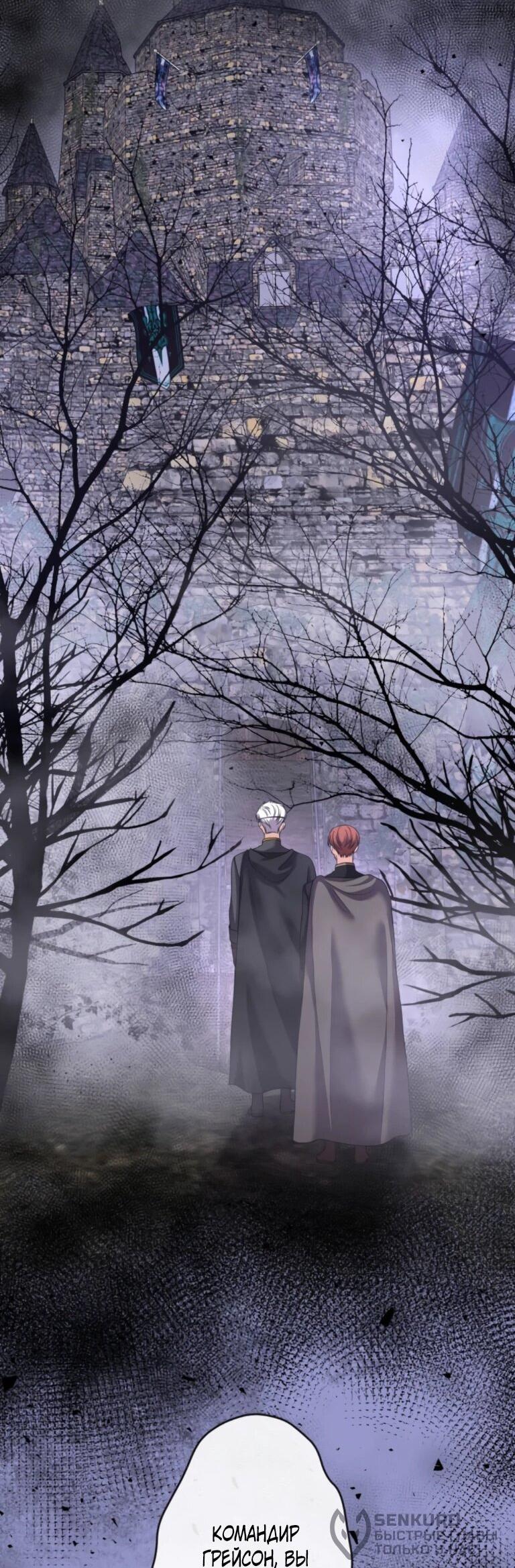 Read Ради будущего моего мужа я подписала развод RU Manga Online