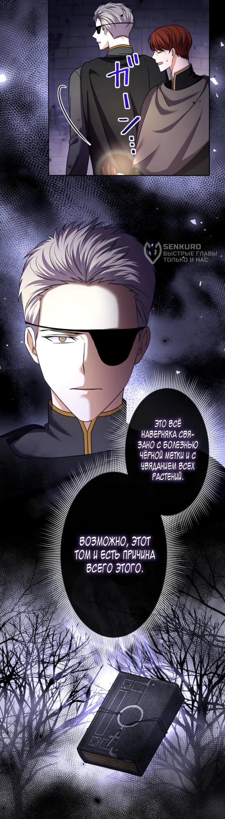 Read Ради будущего моего мужа я подписала развод RU Manga Online