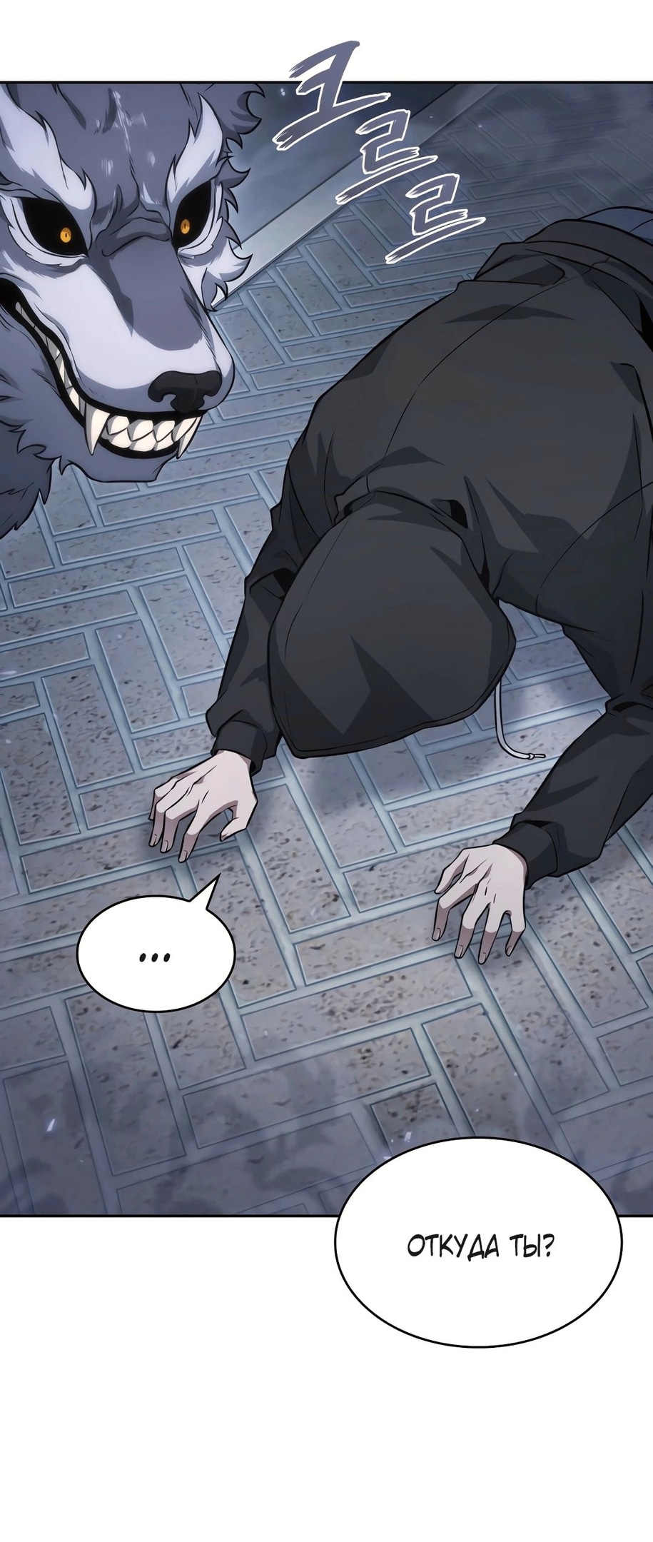 Read Расхититель гробниц RU Manga Online