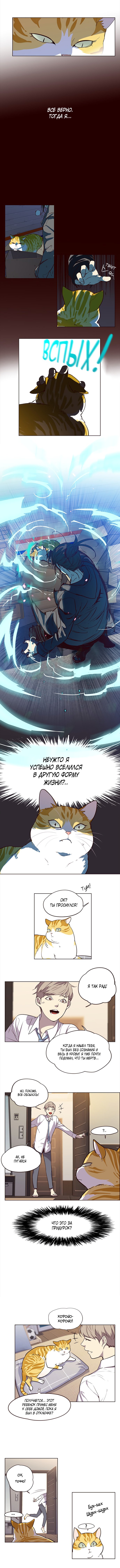 Read Элисед RU Manga Online
