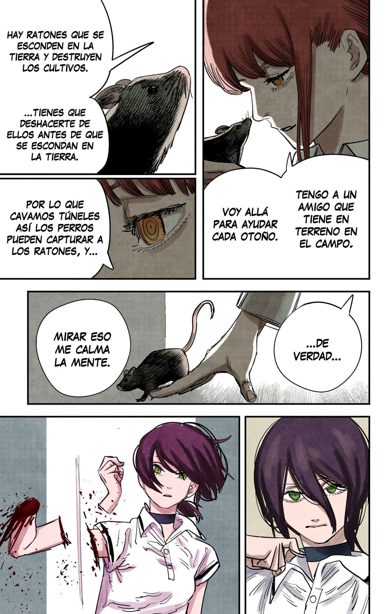 Read Chainsaw Man ES Manga Online