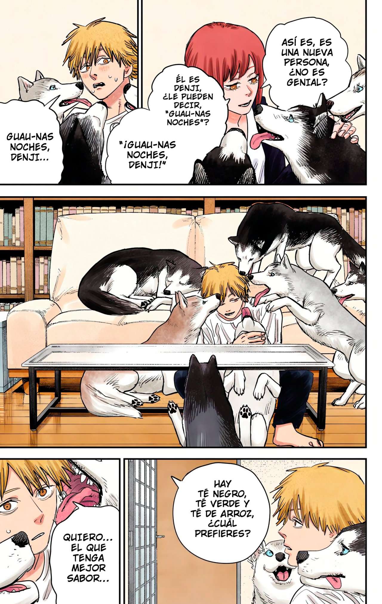 Read Chainsaw Man ES Manga Online