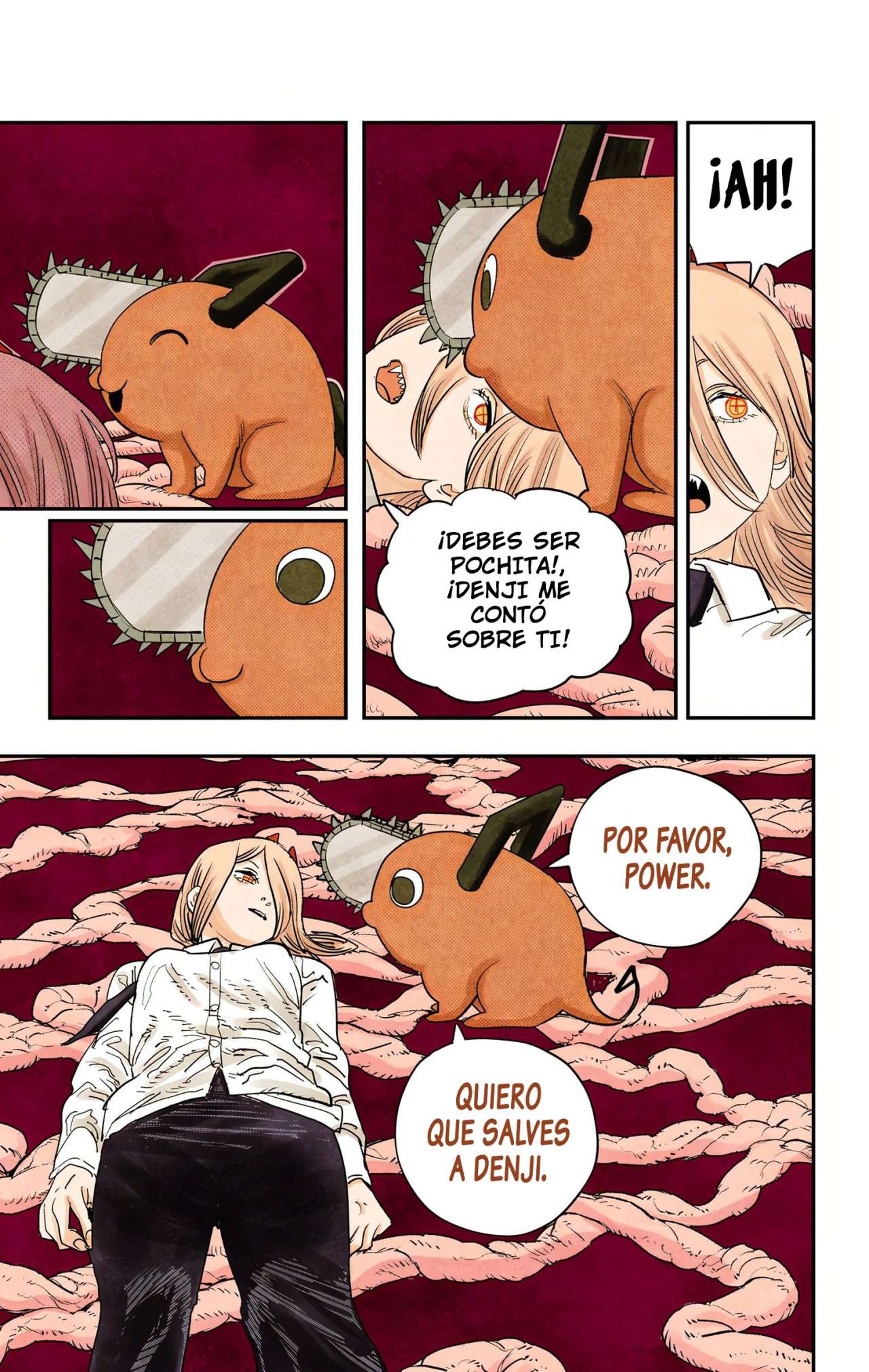 Read Chainsaw Man ES Manga Online