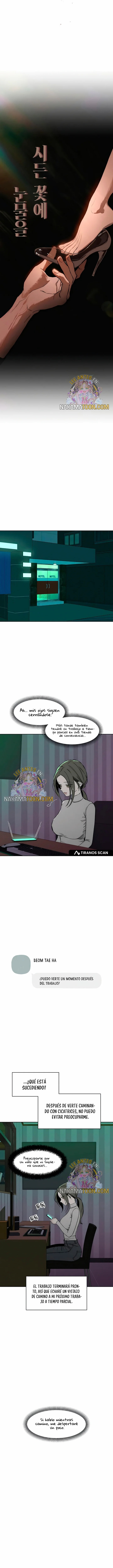 Read Lágrimas Sobre Una Flor Que Está Marchita ES Manga Online