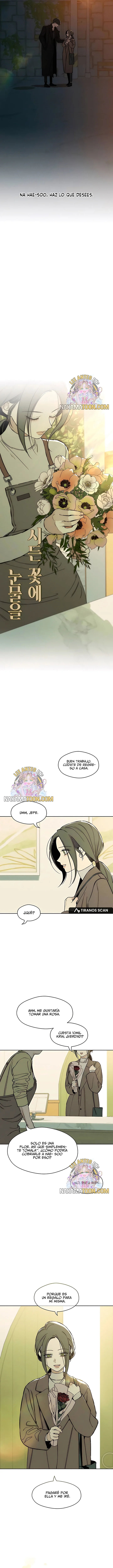 Read Lágrimas Sobre Una Flor Que Está Marchita ES Manga Online