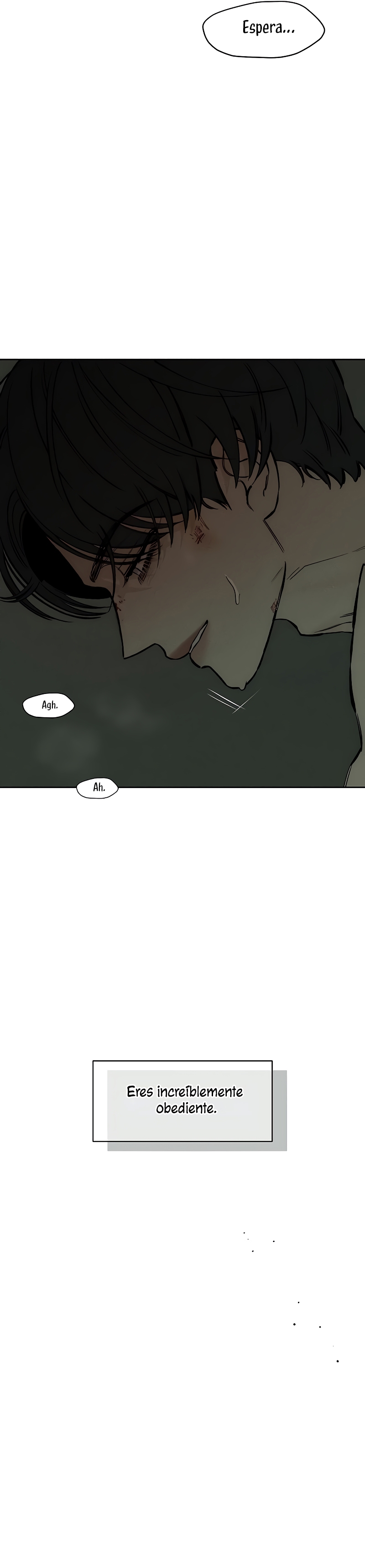 Read Lágrimas Sobre Una Flor Que Está Marchita ES Manga Online