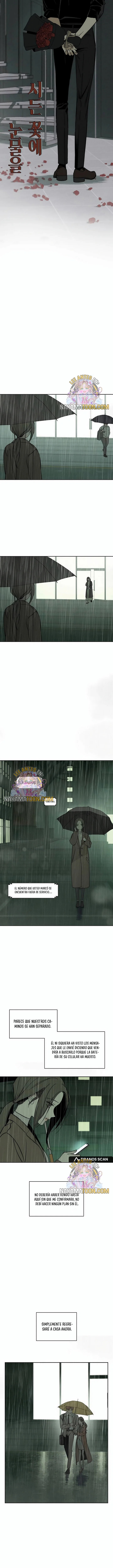 Read Lágrimas Sobre Una Flor Que Está Marchita ES Manga Online