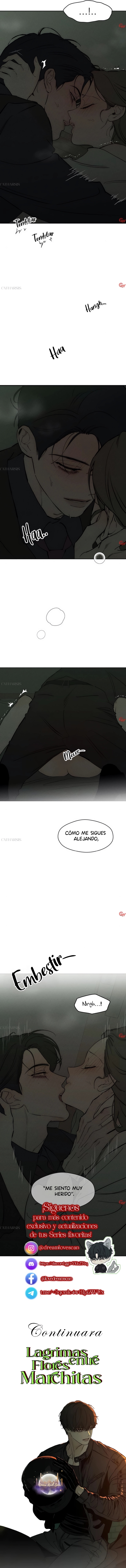 Read Lágrimas Sobre Una Flor Que Está Marchita ES Manga Online