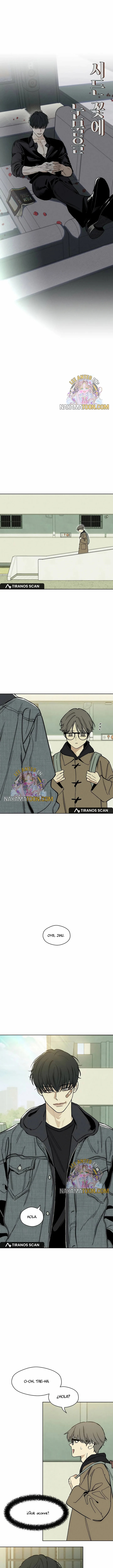 Read Lágrimas Sobre Una Flor Que Está Marchita ES Manga Online