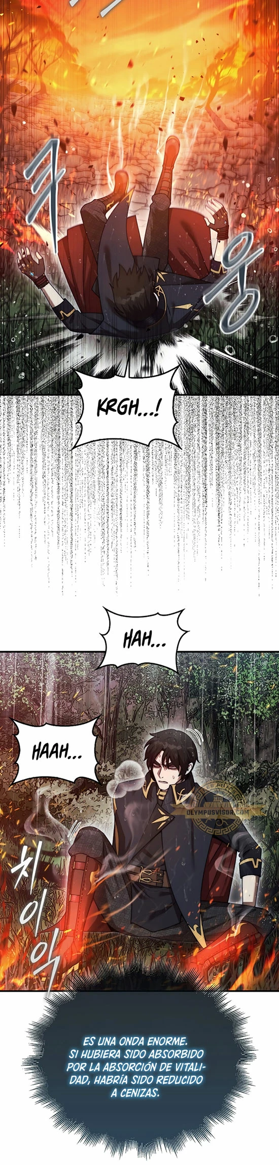Read La 31ma pieza revierte la situación ES Manga Online