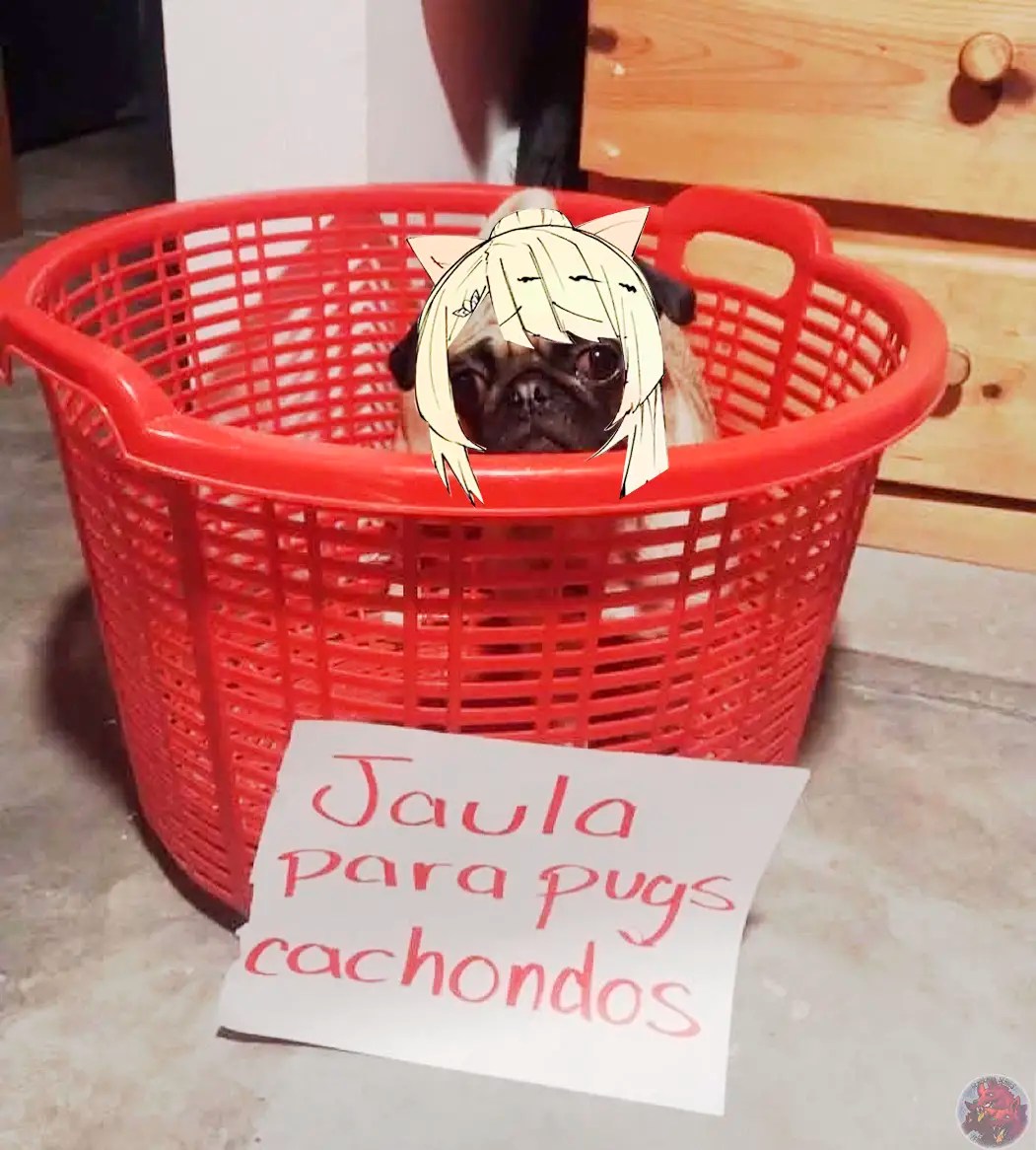 Read My Gift Lvl 9999 Unlimited Gacha ES Manga Online