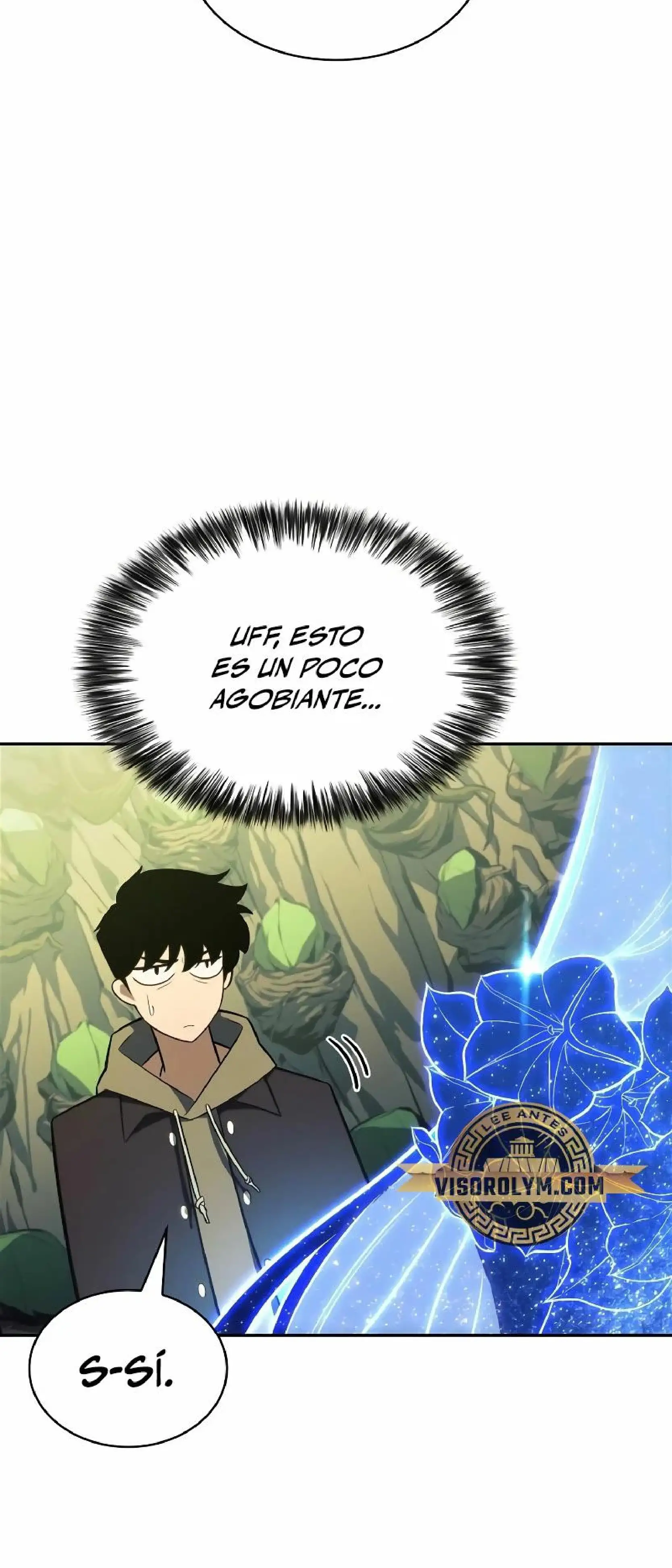 Read Novato Solo a Nivel Maximo ES Manga Online