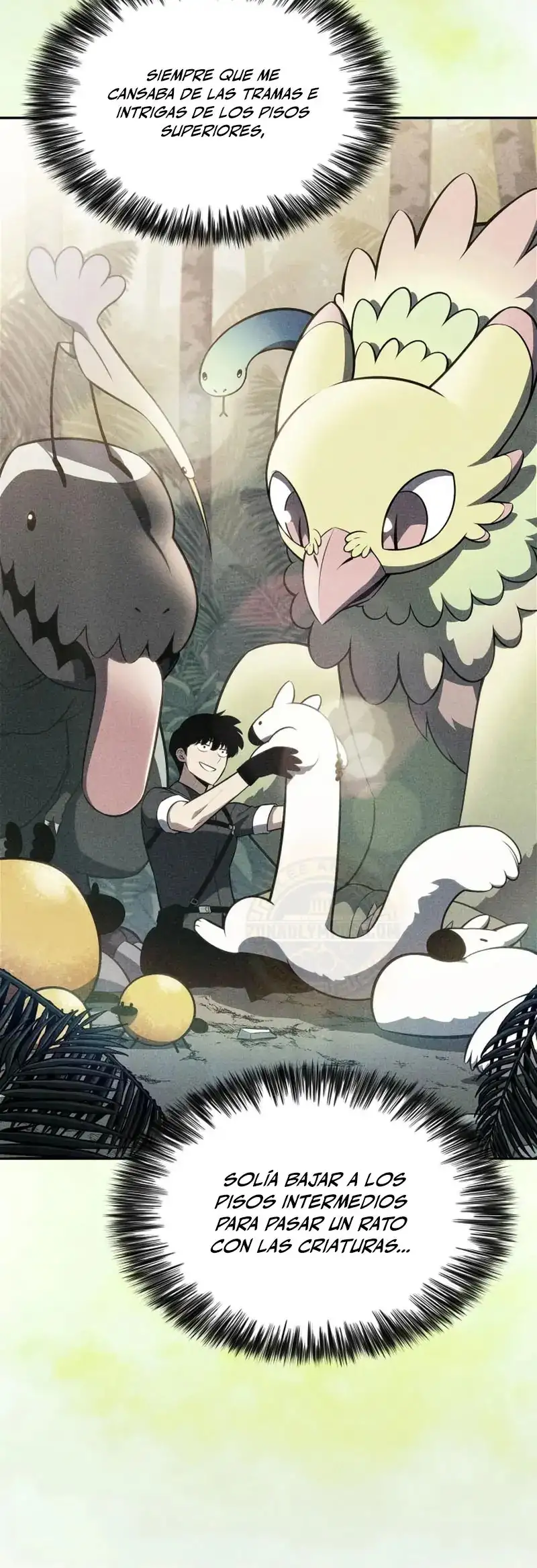 Read Novato Solo a Nivel Maximo ES Manga Online