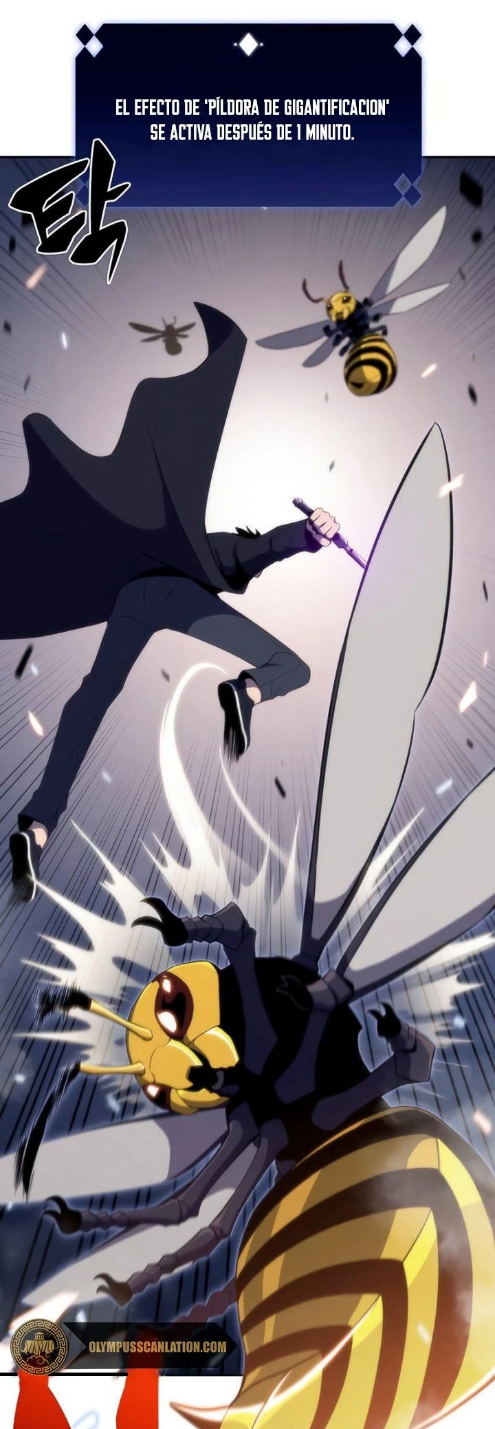 Read Novato Solo a Nivel Maximo ES Manga Online