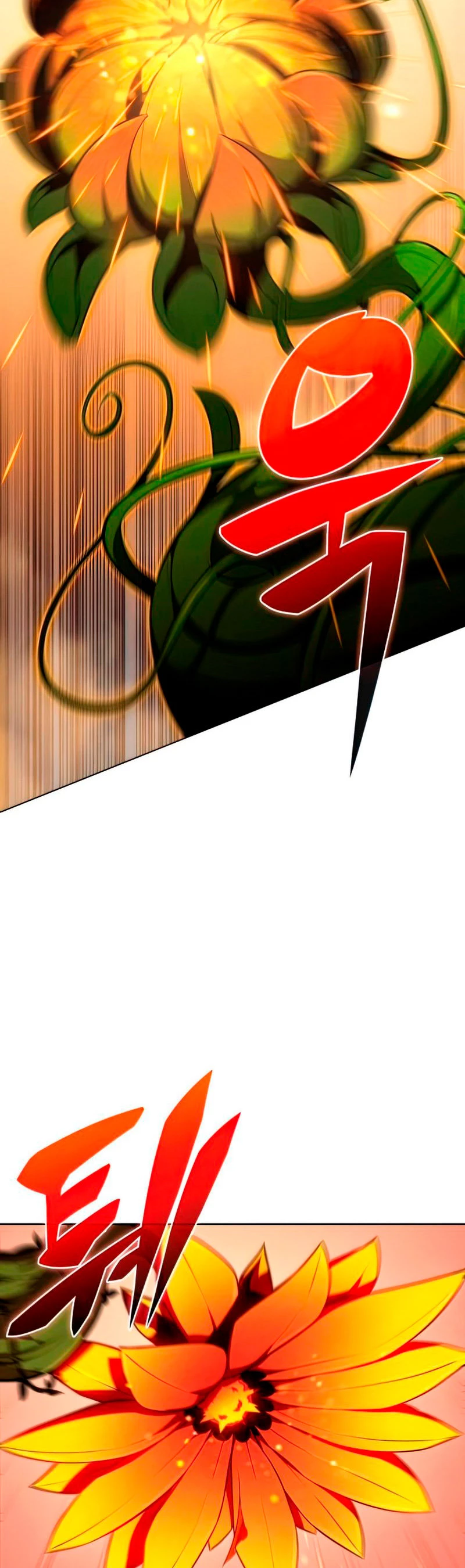 Read Novato Solo a Nivel Maximo ES Manga Online