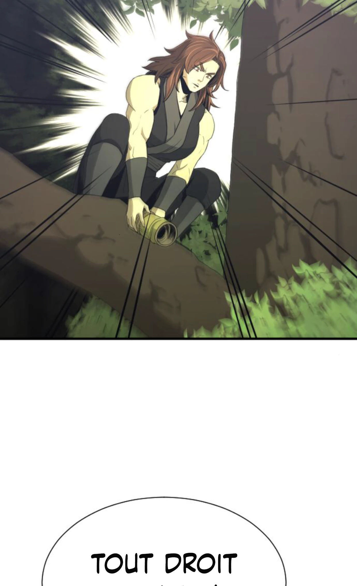 Read A Blade At A Time FR Manga Online