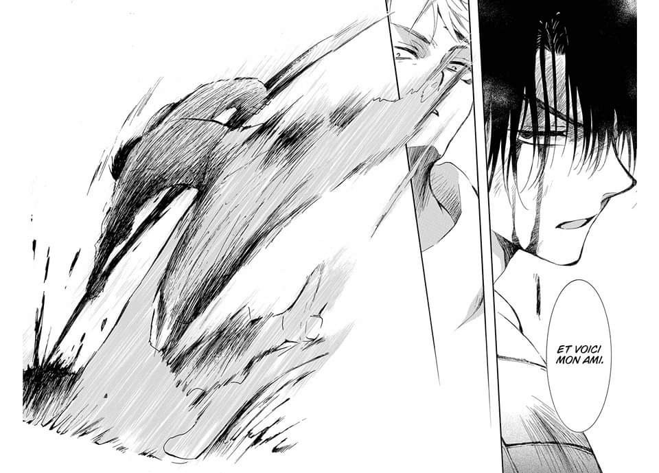 Read Akatsuki no Yona FR Manga Online