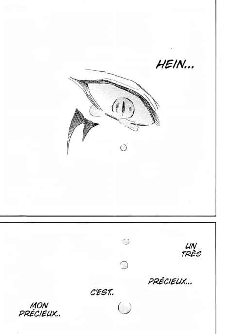 Read Akatsuki no Yona FR Manga Online