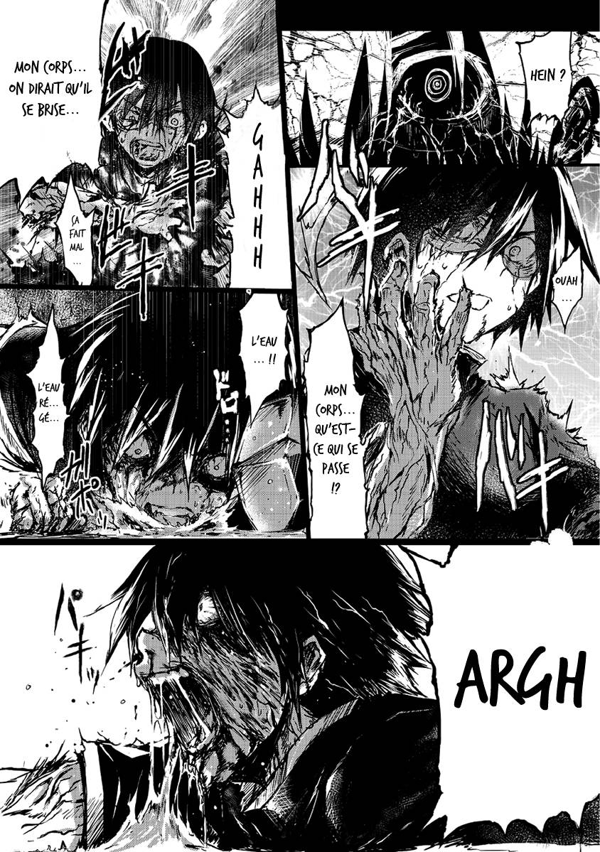 Read Arifureta FR Manga Online
