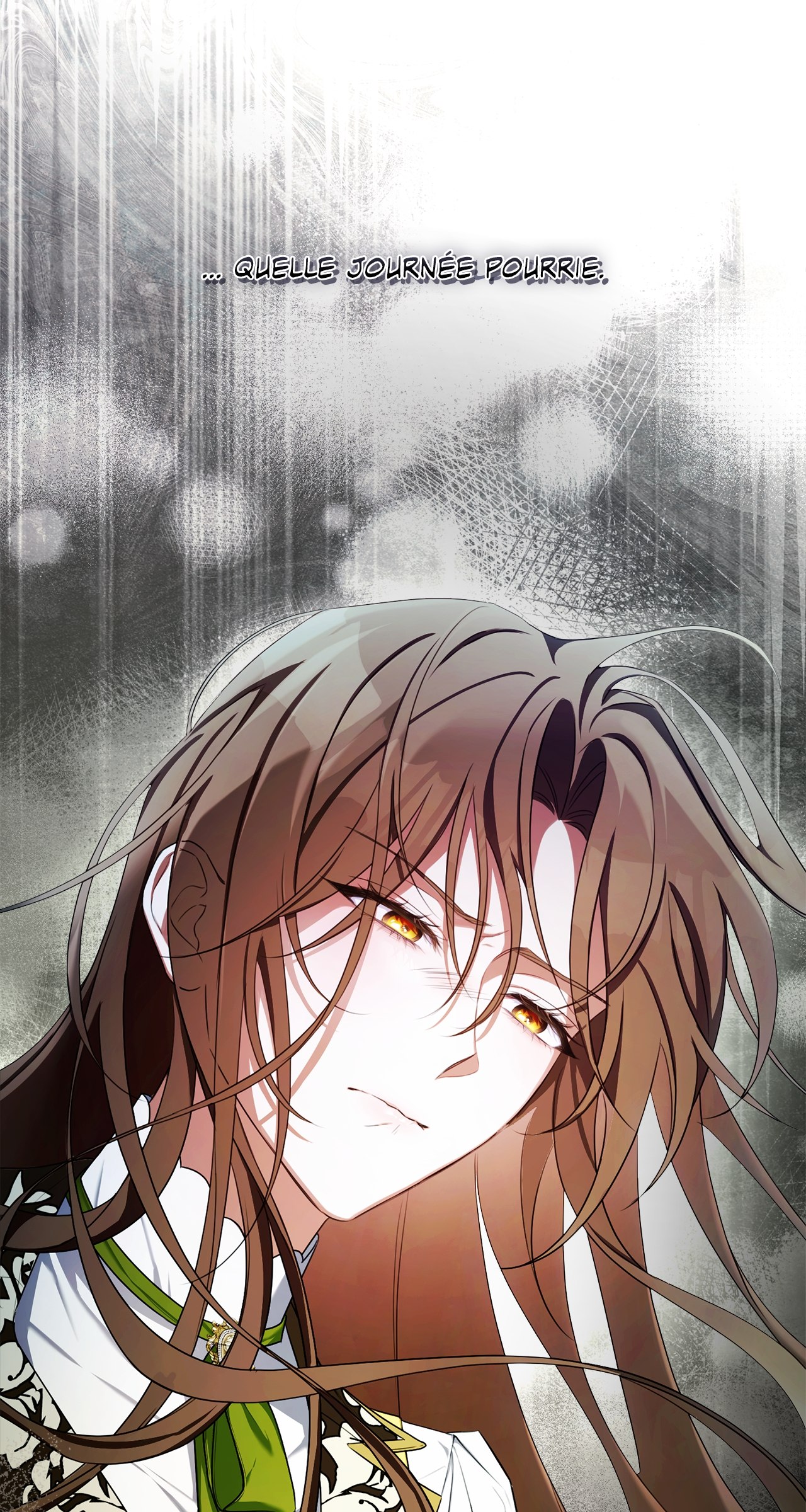 Read Dearest Fiancé I Know You Despise Me FR Manga Online