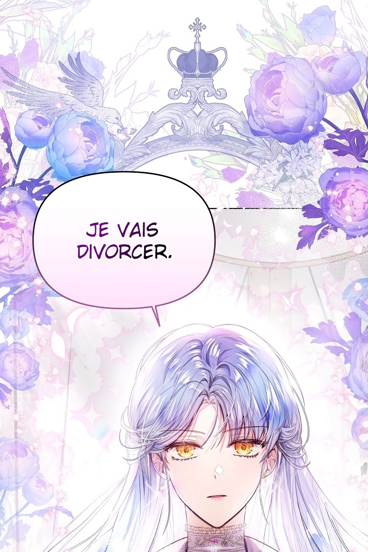 Read Divorce Strategy FR Manga Online