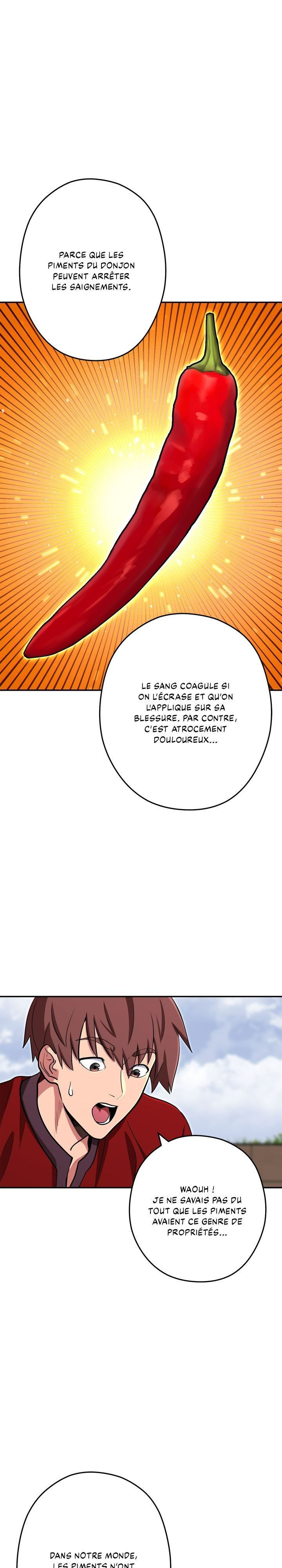 Read Dungeon Reset FR Manga Online