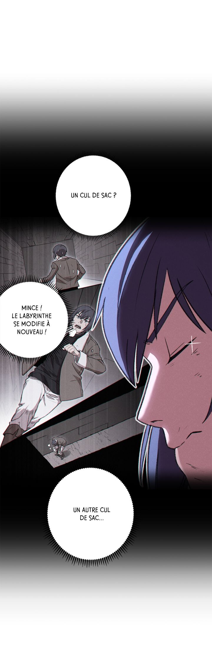 Read Dungeon Reset FR Manga Online