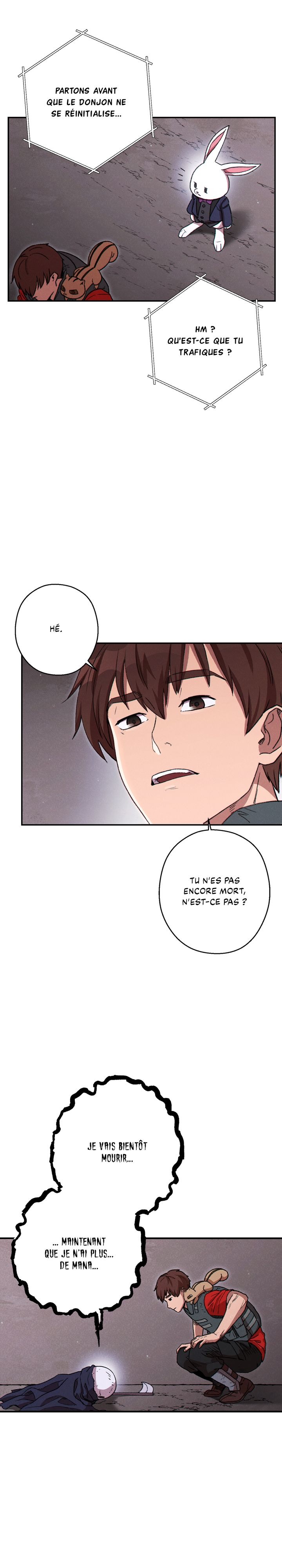 Read Dungeon Reset FR Manga Online