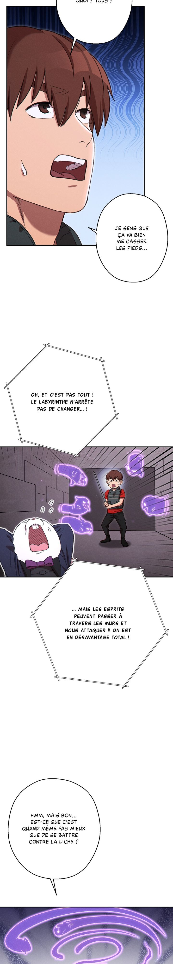 Read Dungeon Reset FR Manga Online