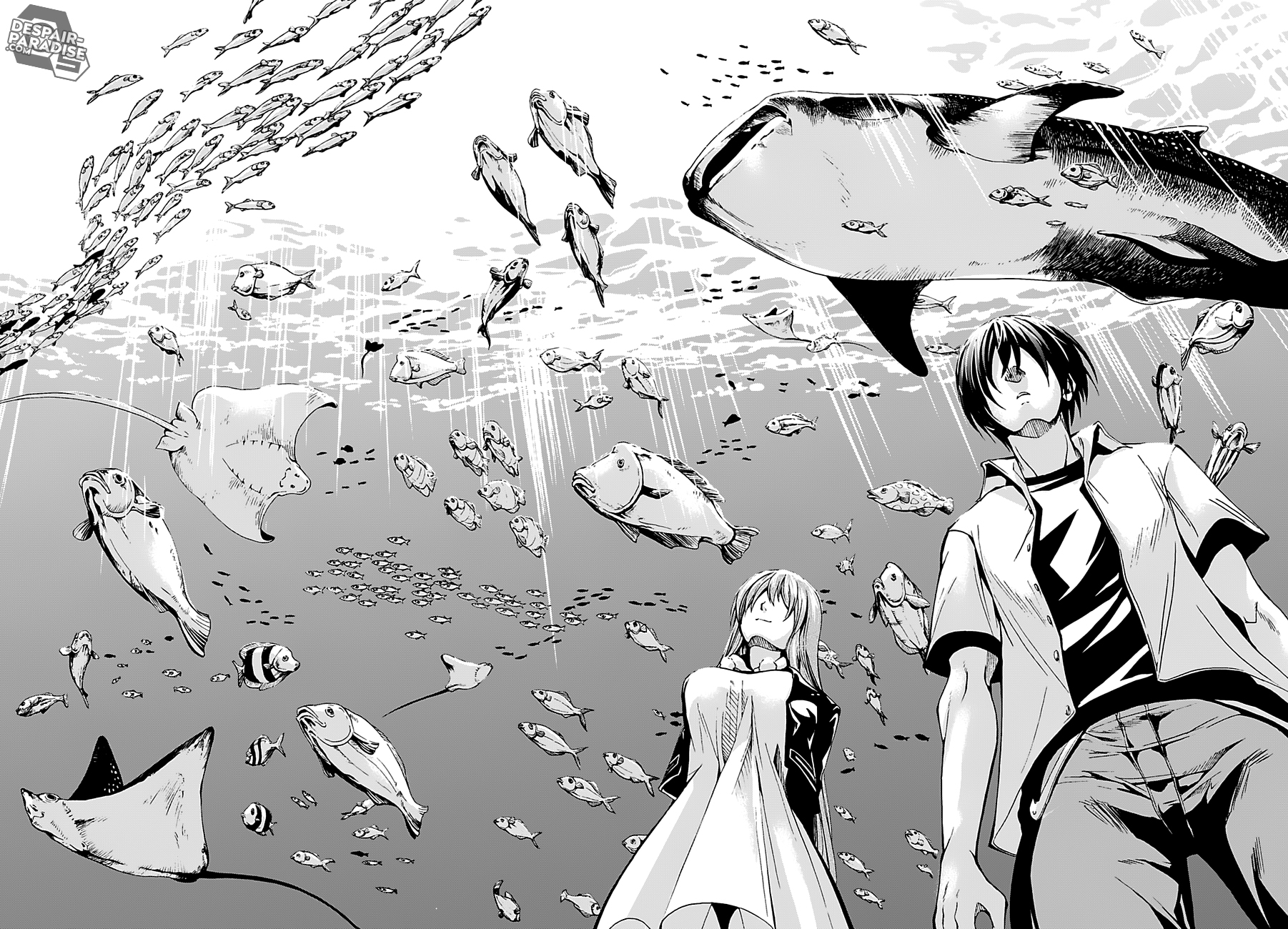 Read Grand Blue FR Manga Online