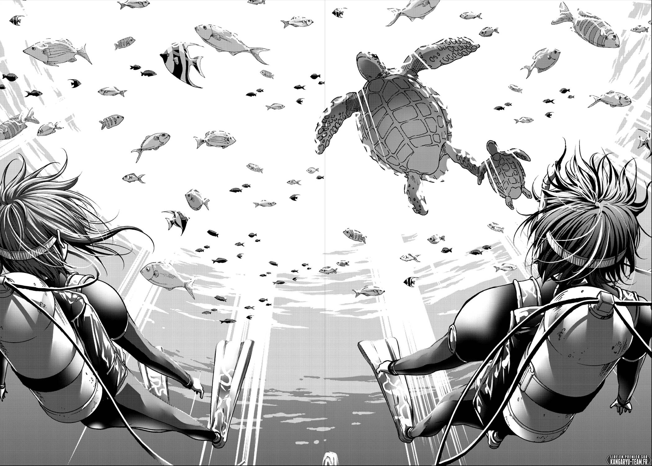 Read Grand Blue FR Manga Online