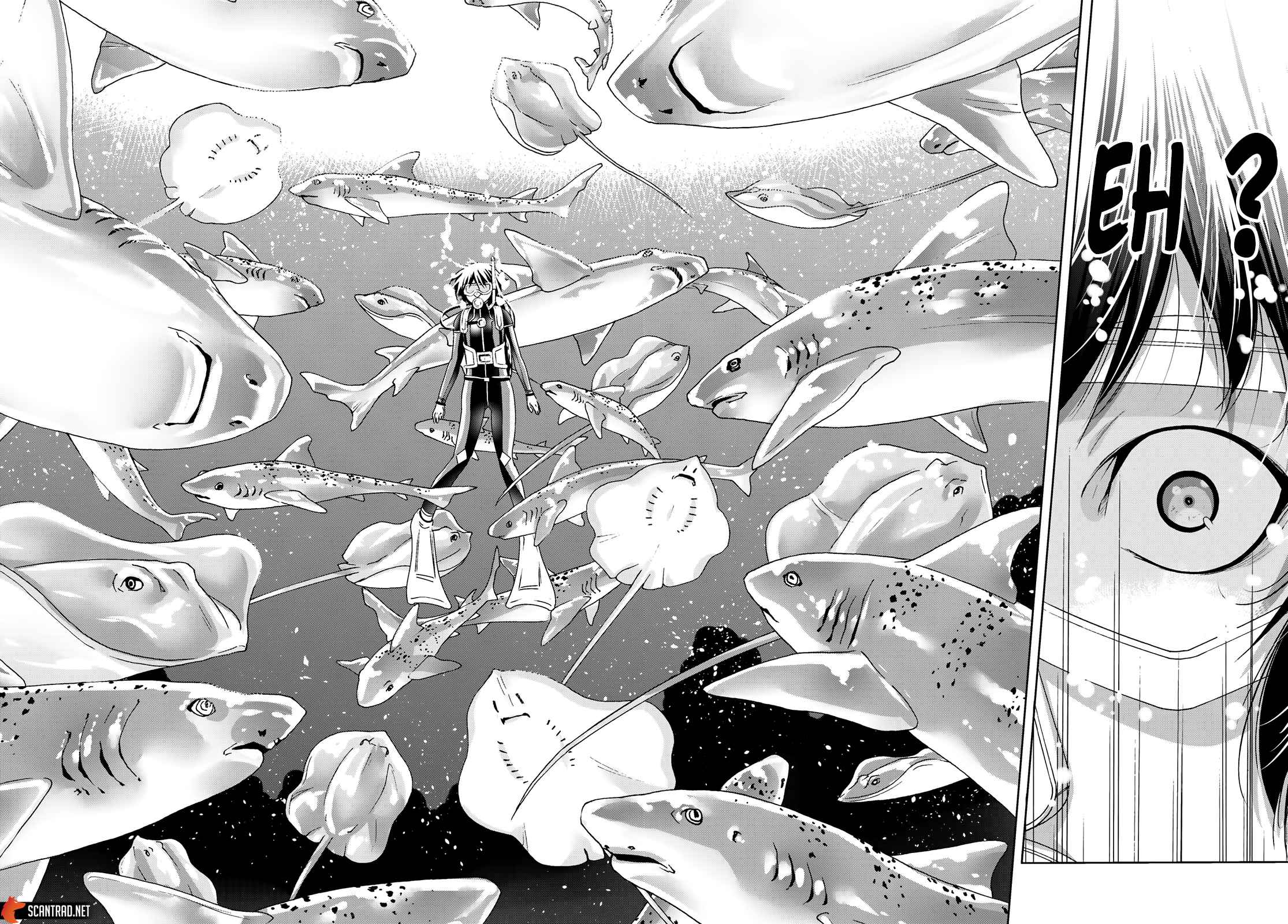 Read Grand Blue FR Manga Online