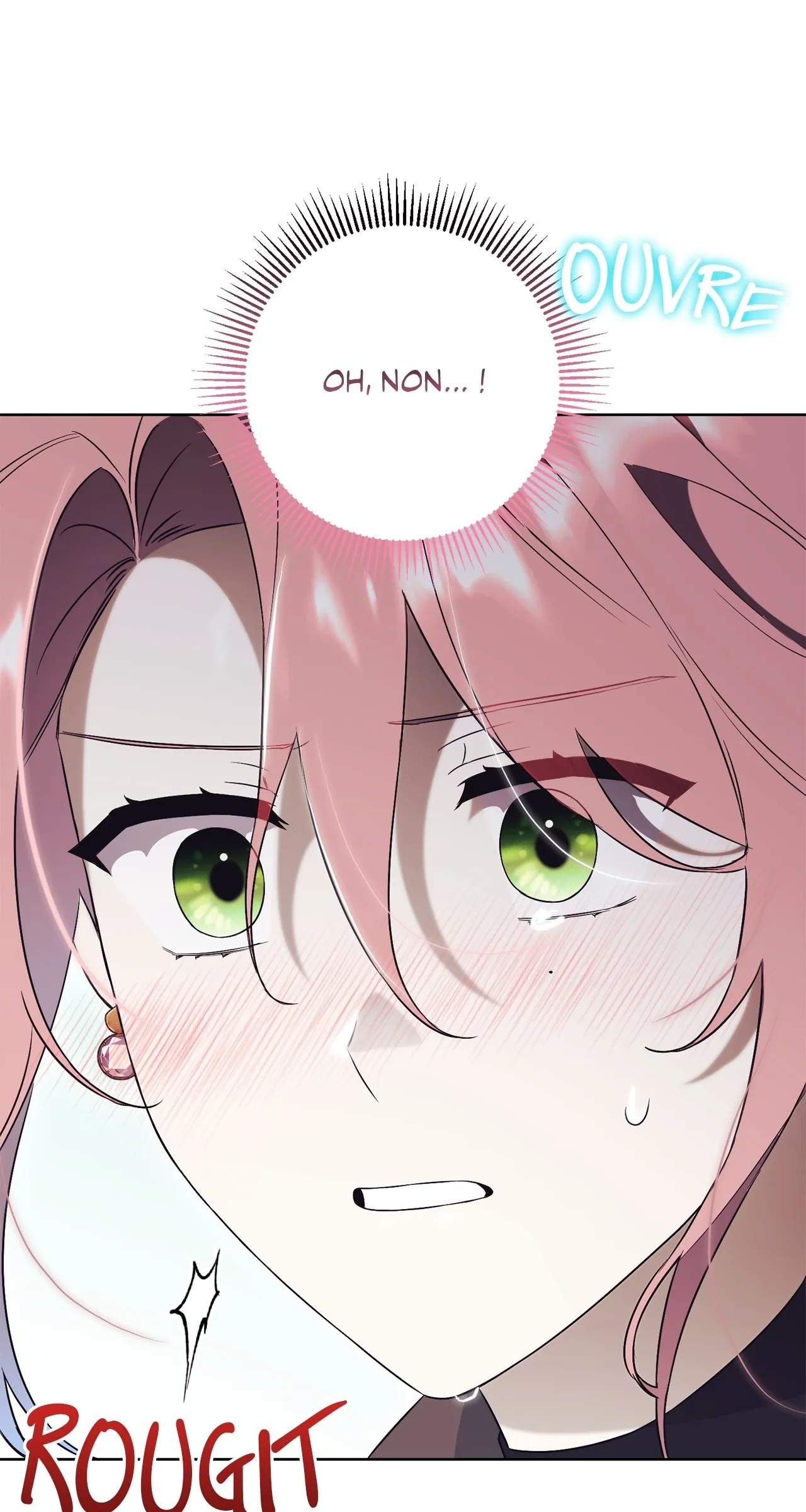 Read How to Reject My Obsessive Ex Husband FR Manga Online
