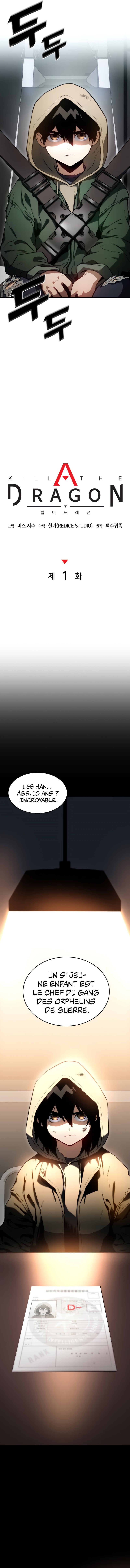 Read Kill The Dragon FR Manga Online