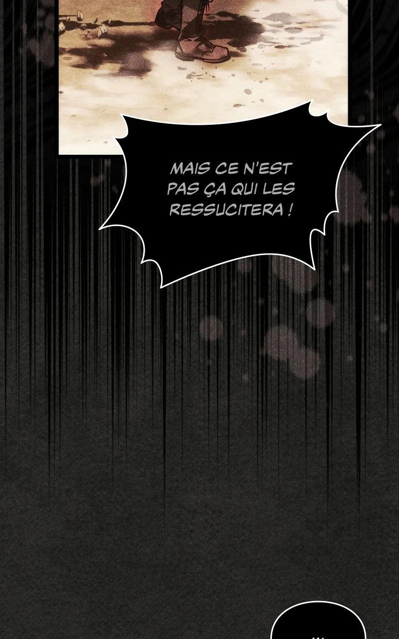 Read LV 99 The Princess of Dark Flare FR Manga Online