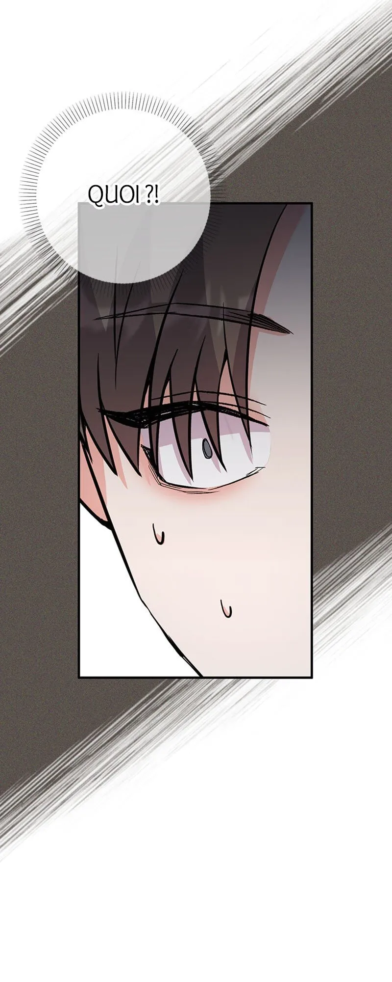 Read Le mariage opalescent d’Amélia FR Manga Online
