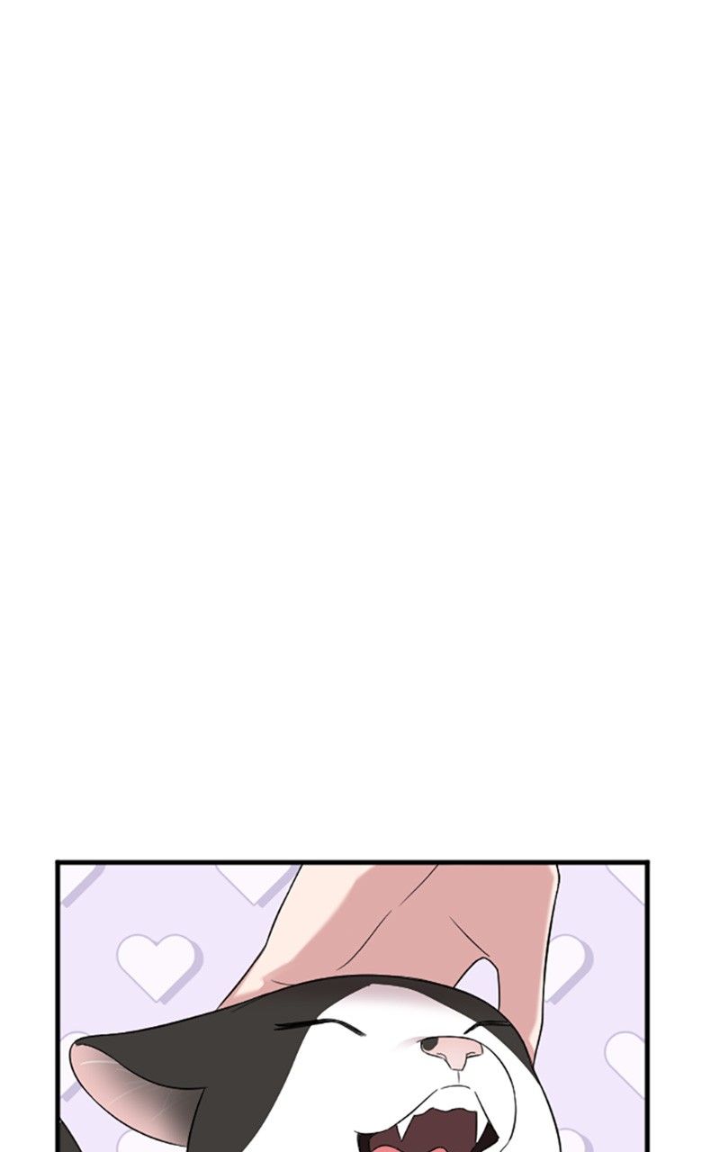 Read Marry my husband FR Manga Online
