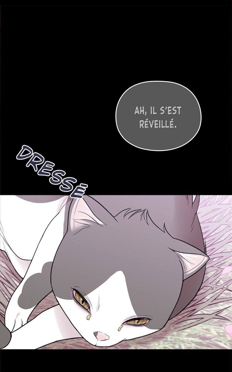 Read Marry my husband FR Manga Online