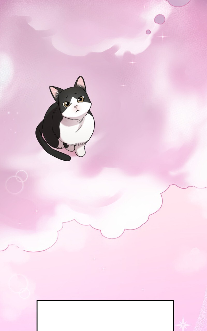 Read Marry my husband FR Manga Online