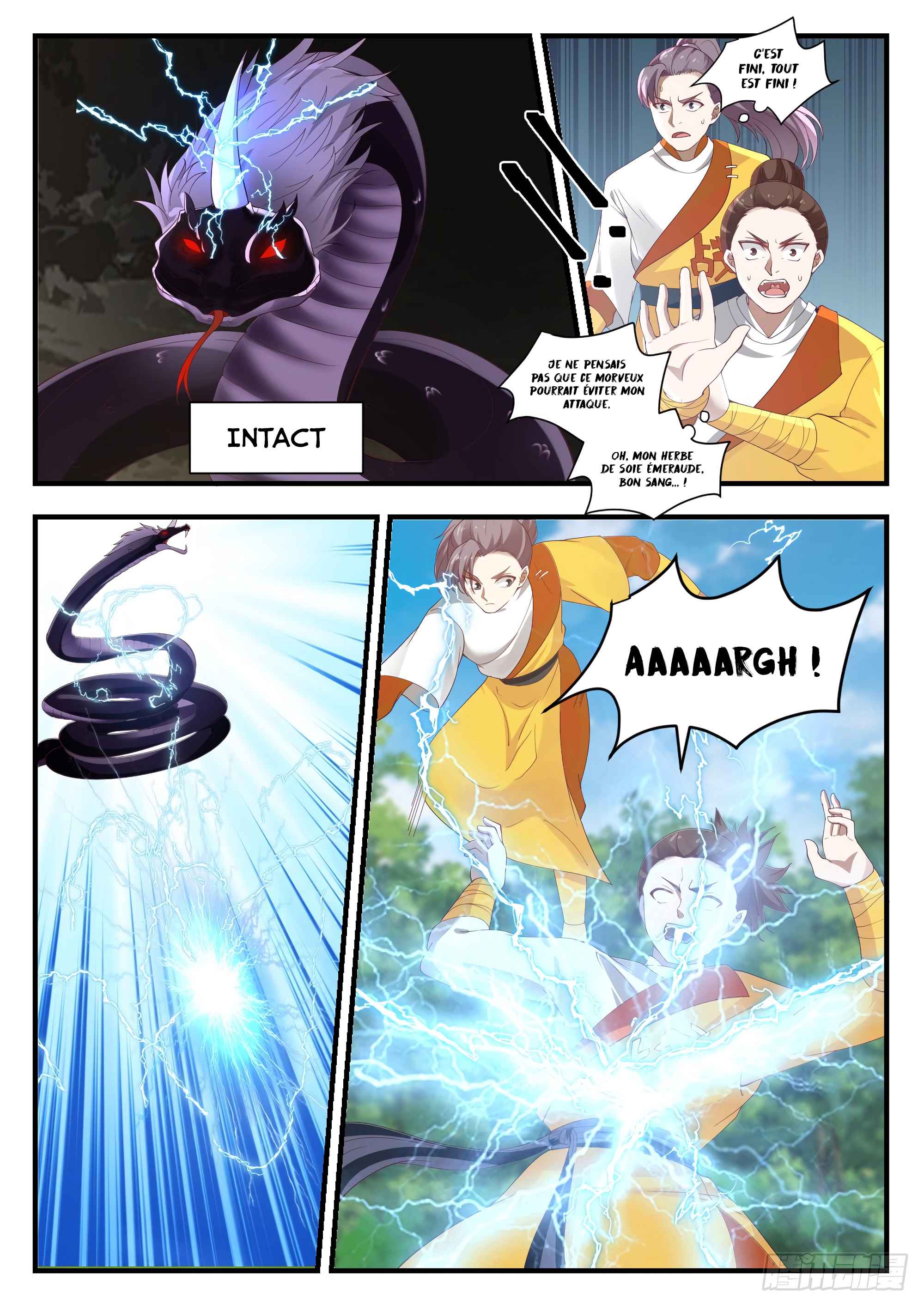 Read Martial Peak FR Manga Online