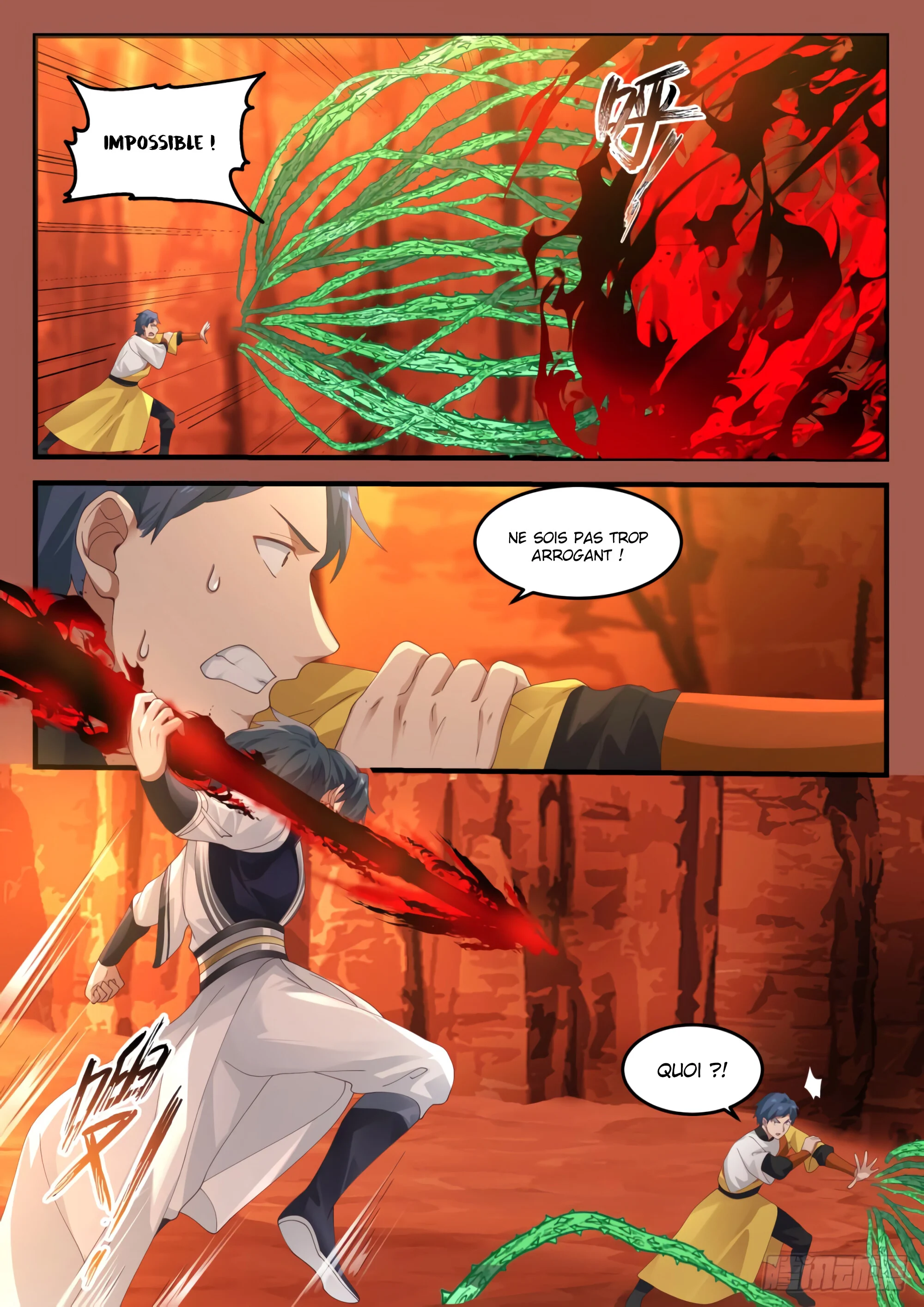 Read Martial Peak FR Manga Online