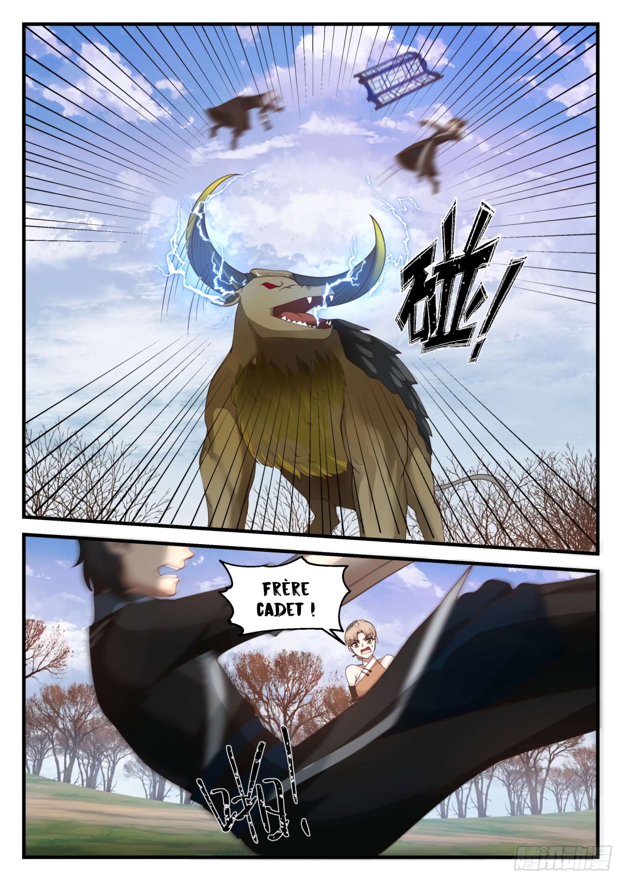 Read Martial Peak FR Manga Online