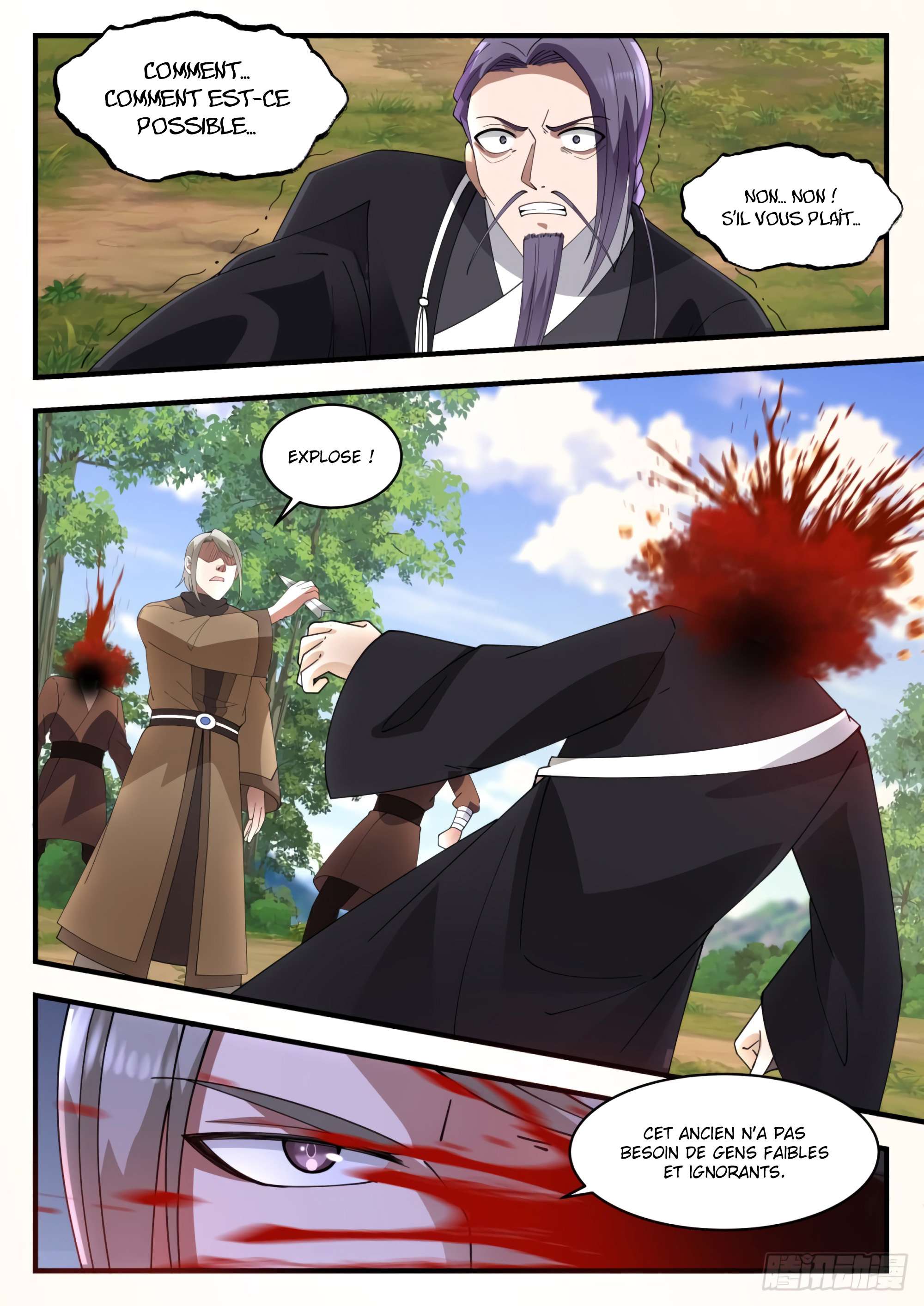 Read Martial Peak FR Manga Online