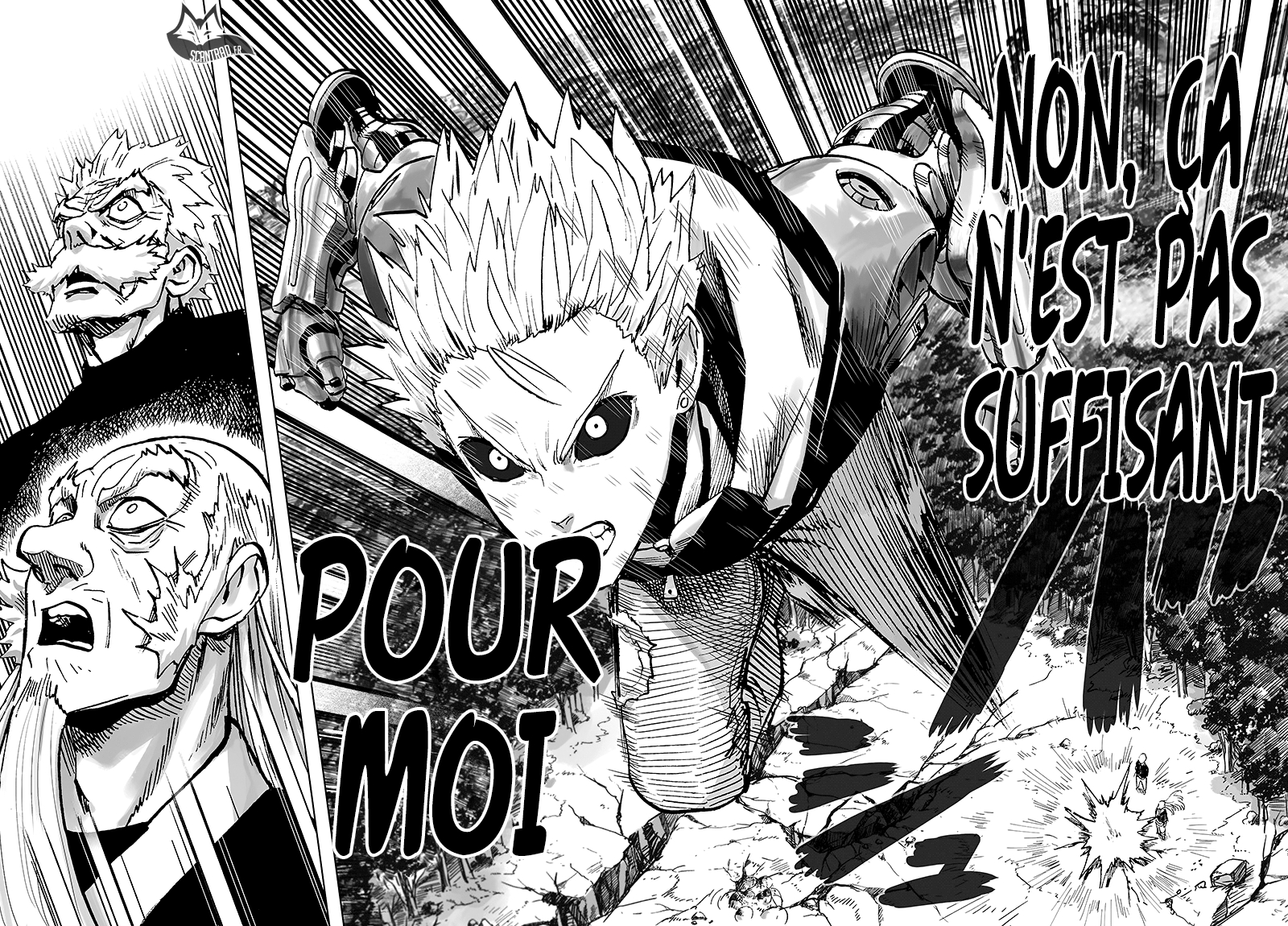 Read One Punch man FR Manga Online