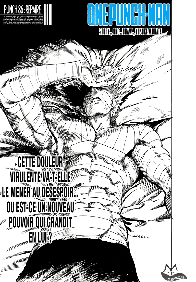 Read One Punch man FR Manga Online