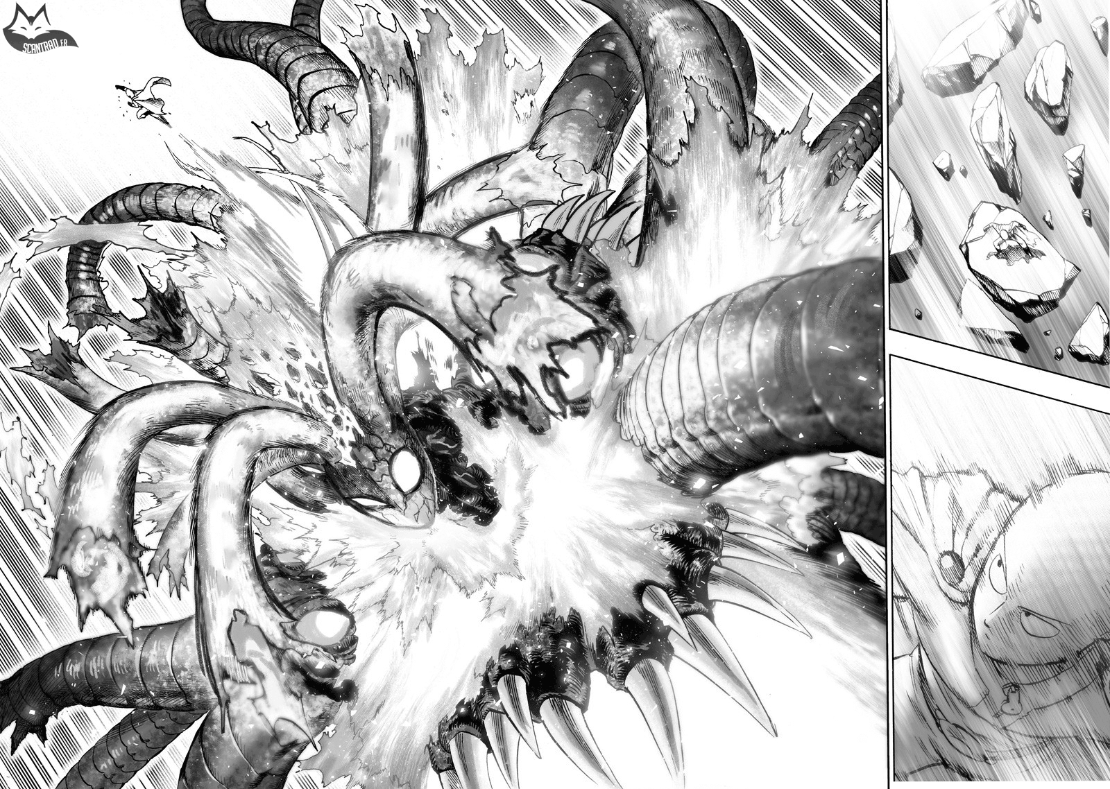 Read One Punch man FR Manga Online