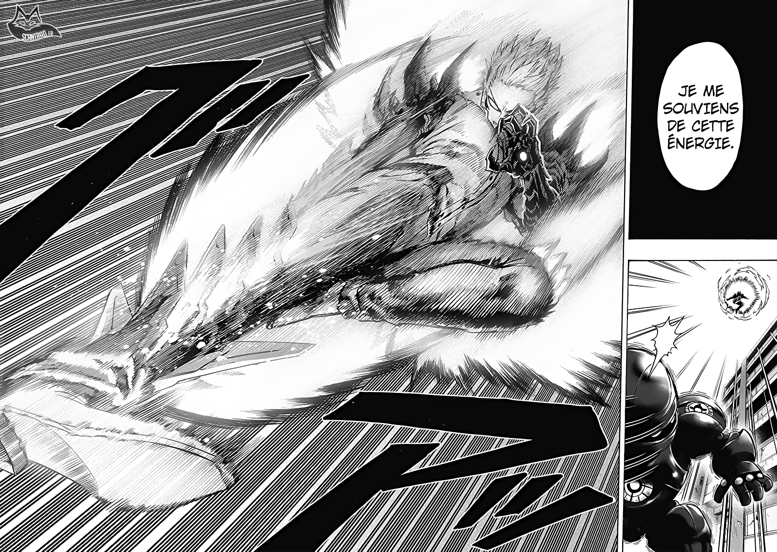 Read One Punch man FR Manga Online