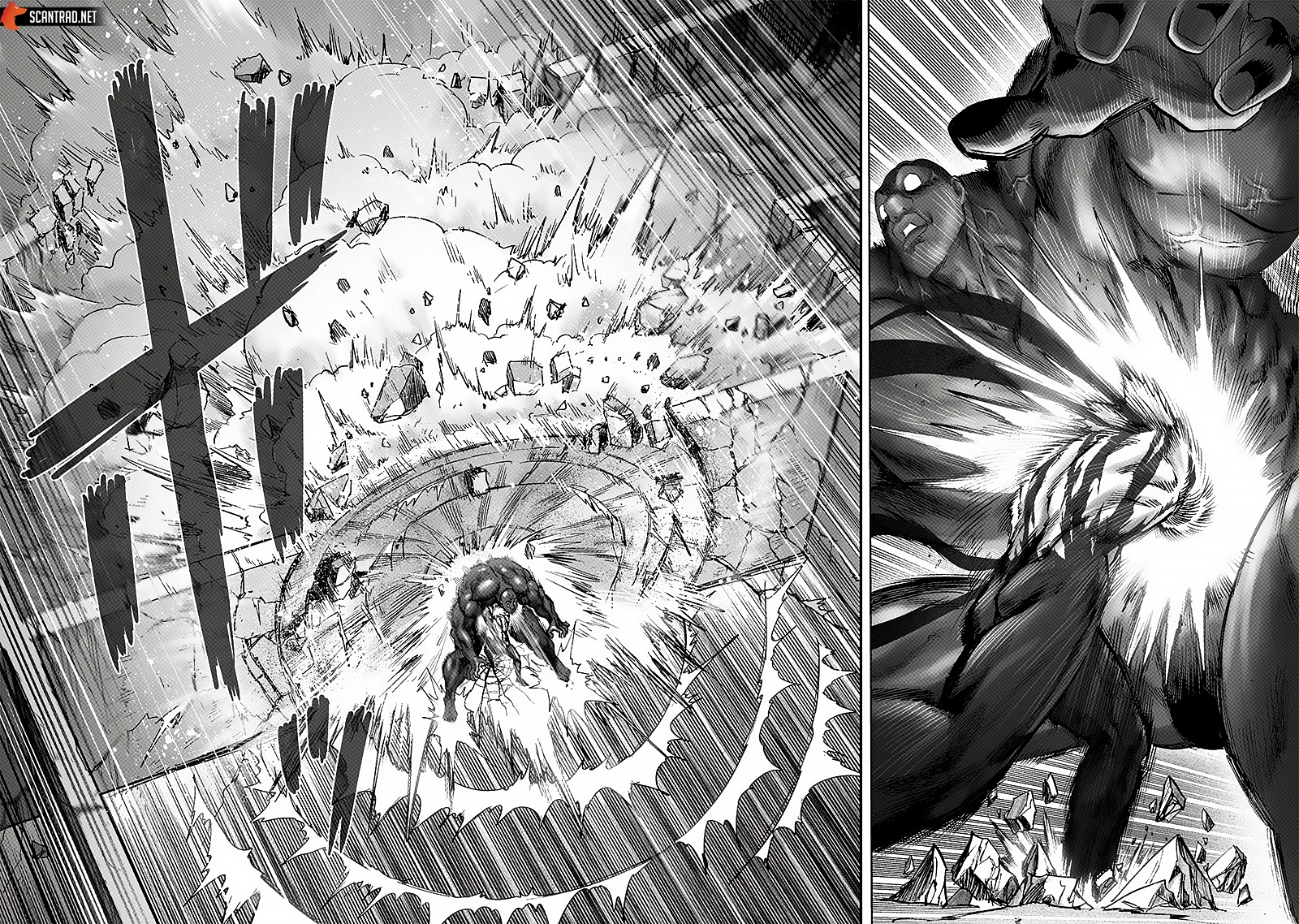Read One Punch man FR Manga Online