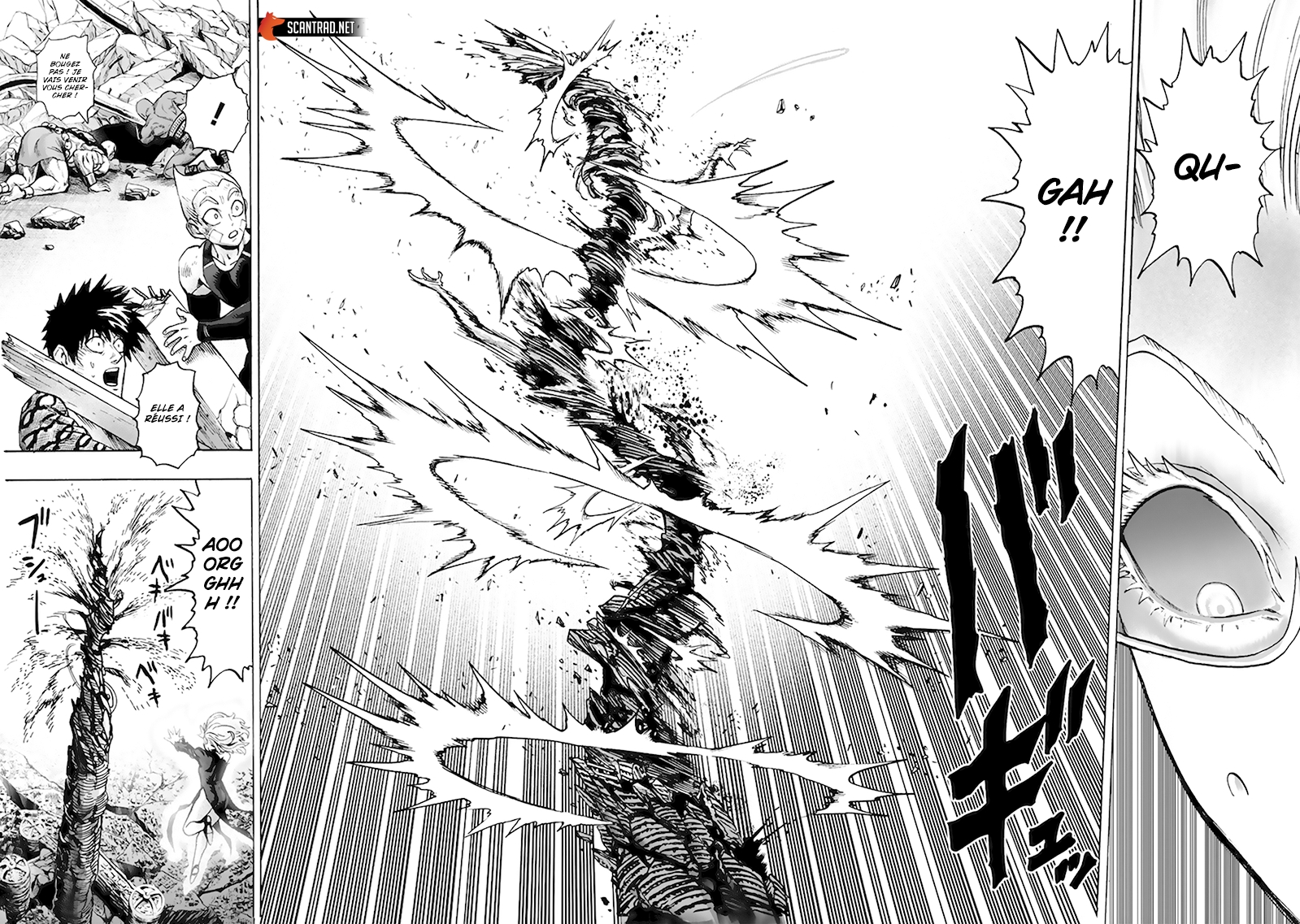 Read One Punch man FR Manga Online